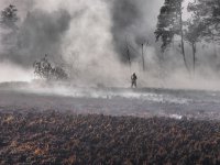 Duży Pożar w Lubcu